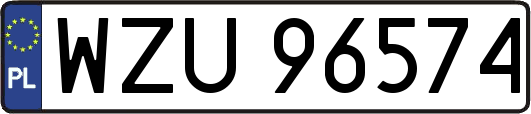 WZU96574