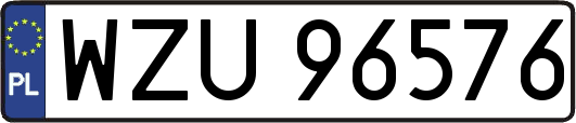 WZU96576