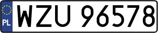 WZU96578