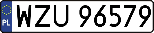 WZU96579