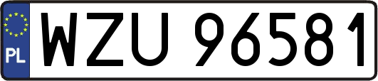 WZU96581