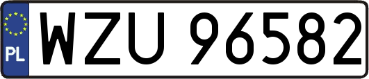 WZU96582