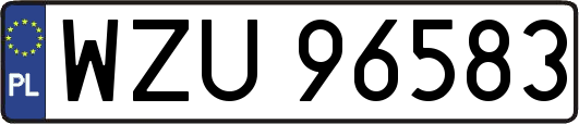 WZU96583