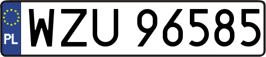 WZU96585