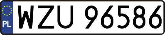 WZU96586