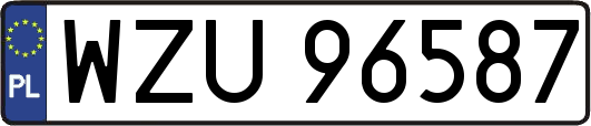 WZU96587