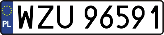 WZU96591