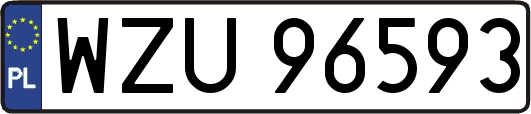 WZU96593