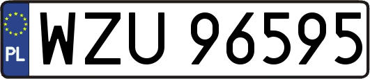 WZU96595