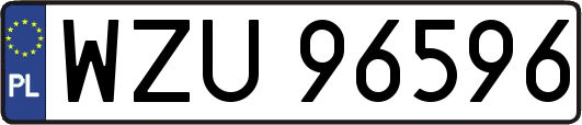 WZU96596