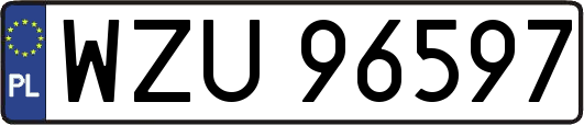 WZU96597