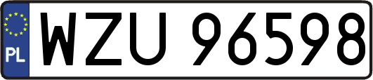 WZU96598