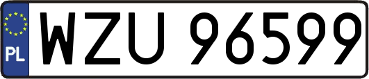 WZU96599
