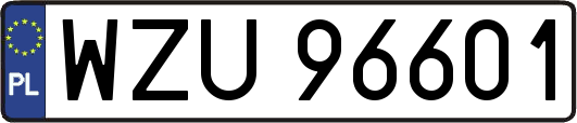WZU96601