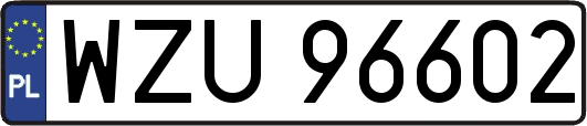 WZU96602