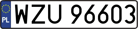 WZU96603
