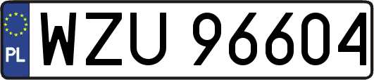 WZU96604