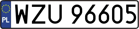 WZU96605