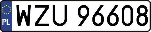 WZU96608