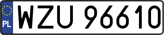 WZU96610