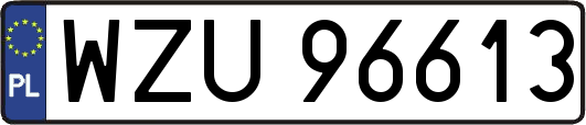 WZU96613