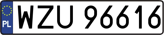 WZU96616