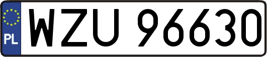 WZU96630