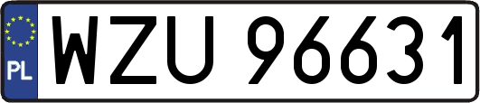 WZU96631