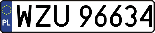 WZU96634