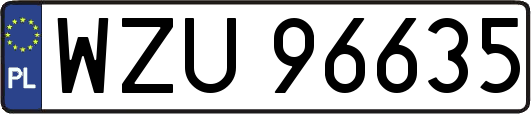 WZU96635