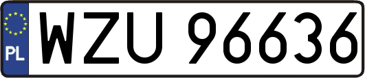 WZU96636