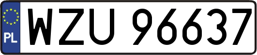 WZU96637