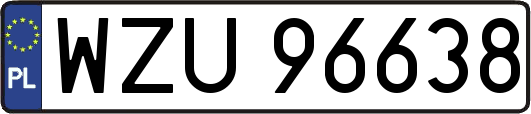 WZU96638