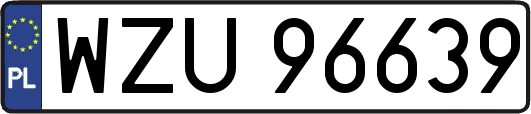 WZU96639