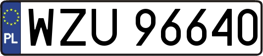 WZU96640