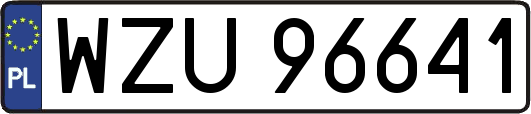 WZU96641