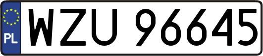 WZU96645