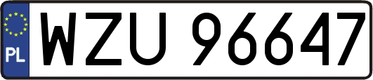 WZU96647