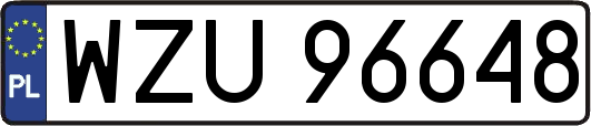 WZU96648
