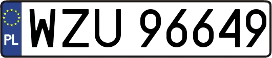 WZU96649