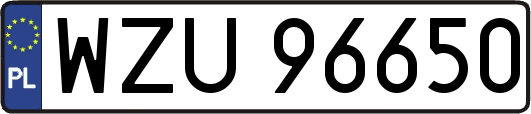 WZU96650