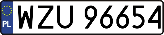 WZU96654