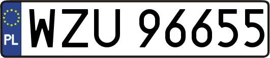 WZU96655