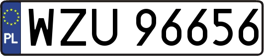 WZU96656
