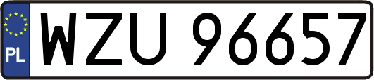 WZU96657