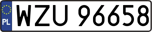 WZU96658