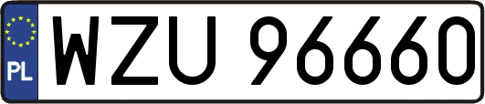 WZU96660