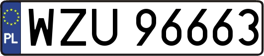 WZU96663