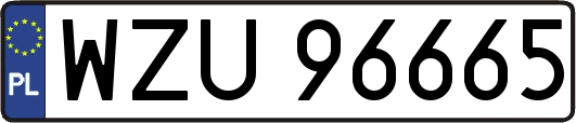 WZU96665