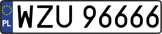 WZU96666